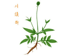 幼师自我鉴定_幼师自我鉴定范例小班