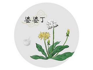 药膳大赛策划书(药膳策划书)