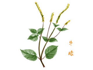 营销策划方案范本(楼盘营销策划方案)