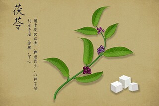 小学教师节活动方案