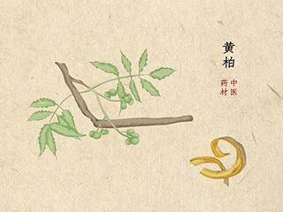 珠宝开业广告词(珠宝店的广告词)