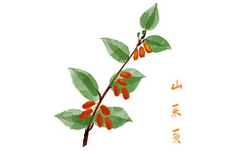 采购员个人简历_采购员个人简介范文