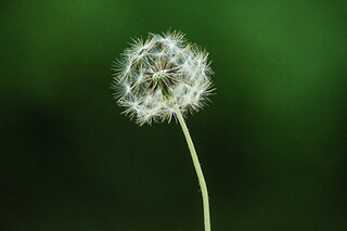 教师节感恩活动是什么_教师节感恩活动策划书