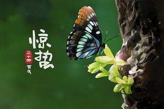 高级教师述职报告_高级教师述职报告