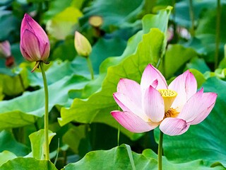 初中地理小论文(初中地理学困生帮扶论文)