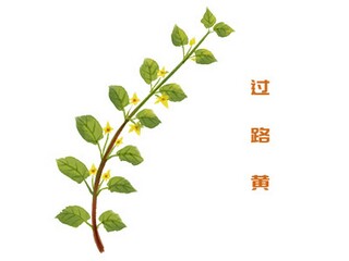 好听的古风名字女网名_古风网名（精选800个）