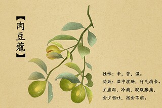 重阳节活动介绍_重阳节主题的活动总结