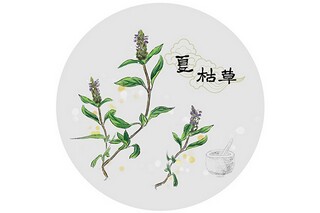 朋友暖心简短文案_最新暖心简短文案