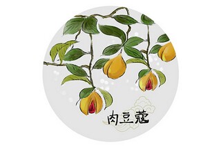 排球赛活动策划书(排球比赛策划)