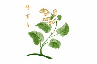 美丽的瀑布作文(美丽的瀑布作文300字)