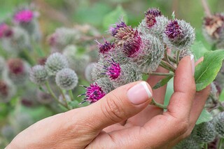 小清新朋友圈说说句子(女神节朋友圈高质量句子小清新)